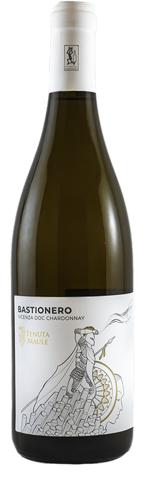 bastionero-web.psd 00000119080676899353780530000007831908672898731144