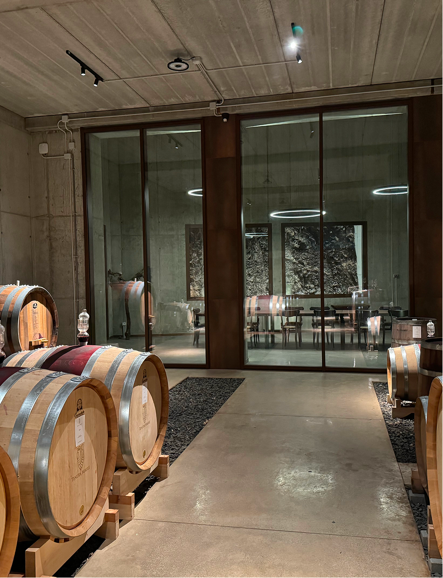 immagini maule_Tavola disegno 1 14