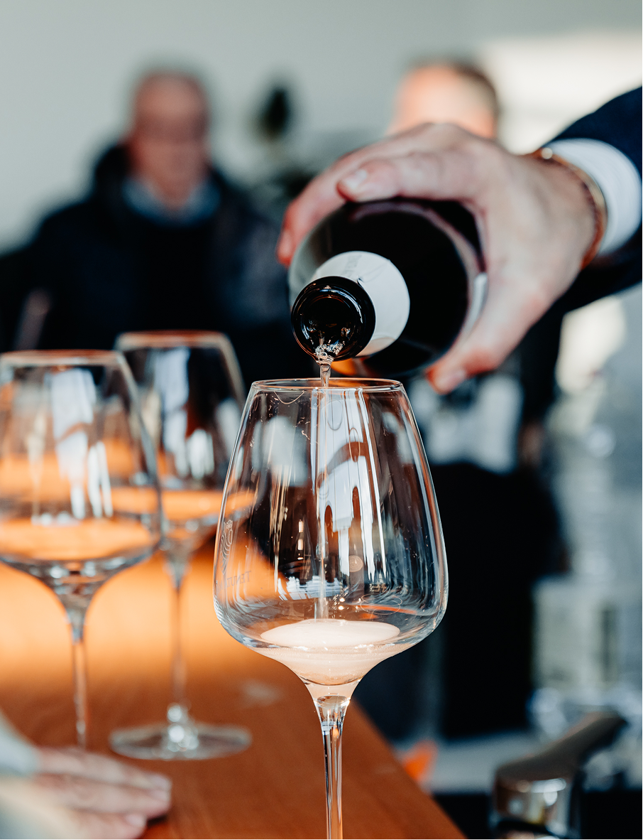 immagini maule_Tavola disegno 1 21