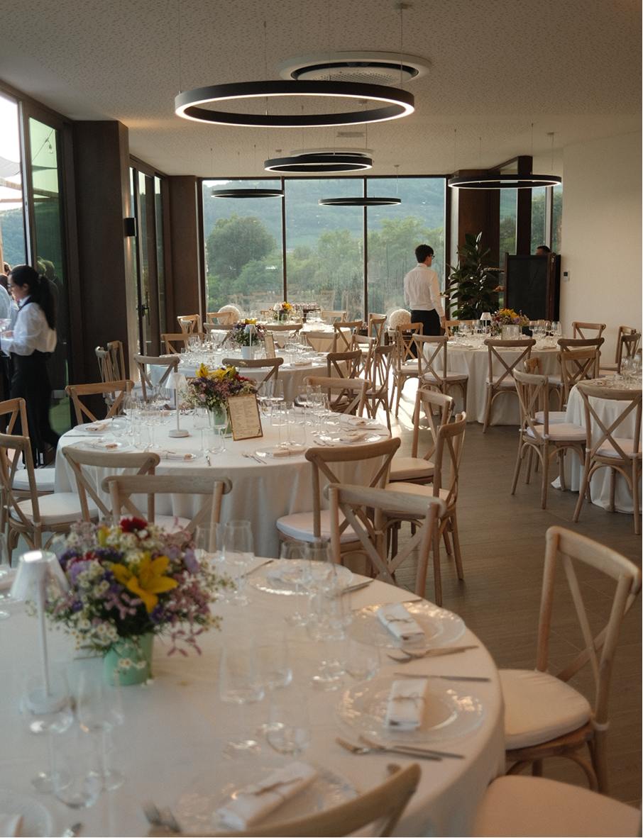 immagini maule_Tavola disegno 1 4