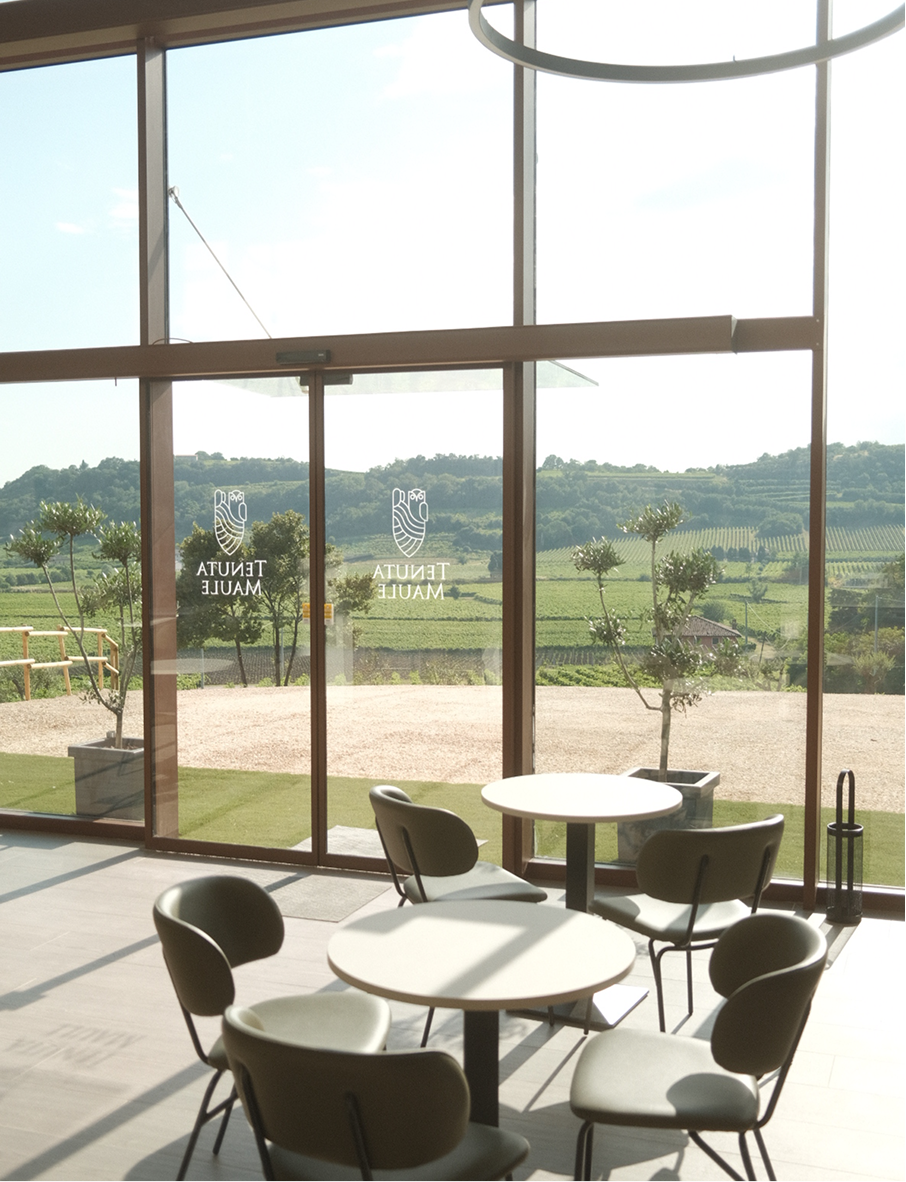 immagini maule_Tavola disegno 1 9